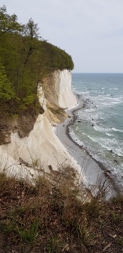 Die Kreideküste auf Rügen (Bild: Johanna Münch)