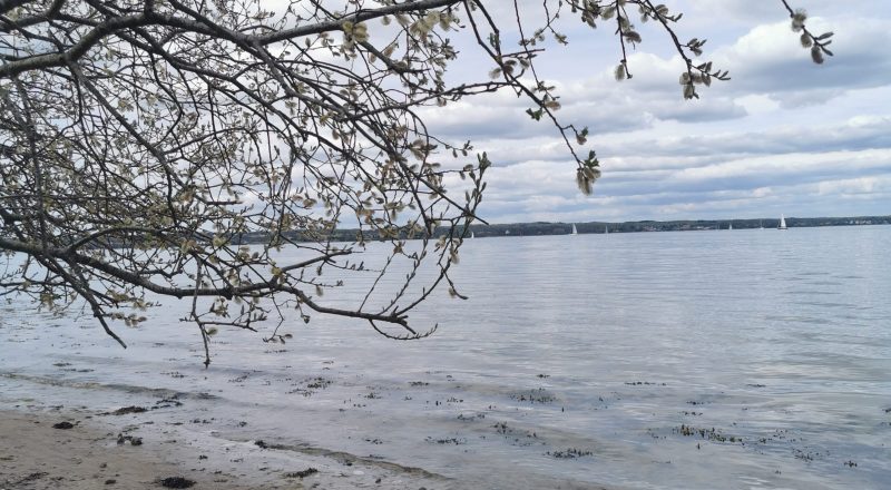 Zum Üben ein schiefer Horizont. (Bild: Asja Wortmann)