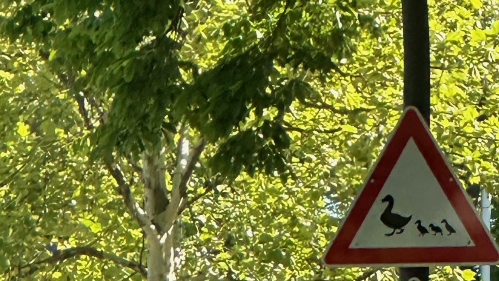 Achtung, tierische Familie! (Bild: Michael Bayer)