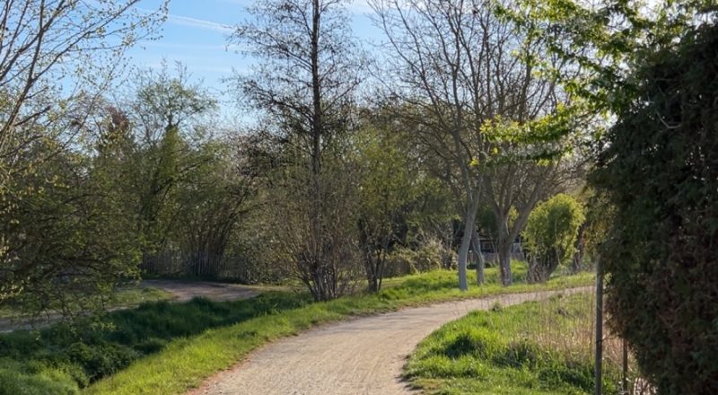 So idyllisch macht der Weg zur Arbeit doch fast Spaß. (Bild: Marie Gönnenwein)