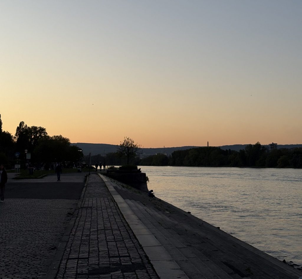 Rhein in der Abendsonne. (Bild: Paula Fischer)