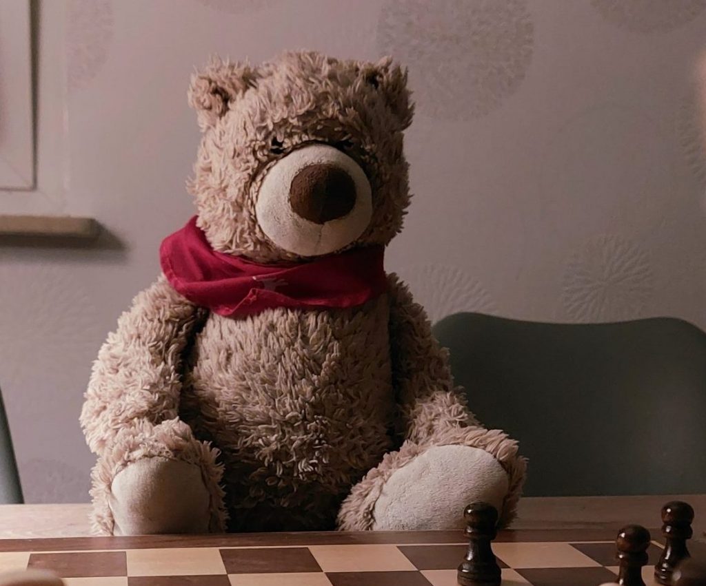 Teddy-Schachpartie (Bild: Amelie Rehm)
