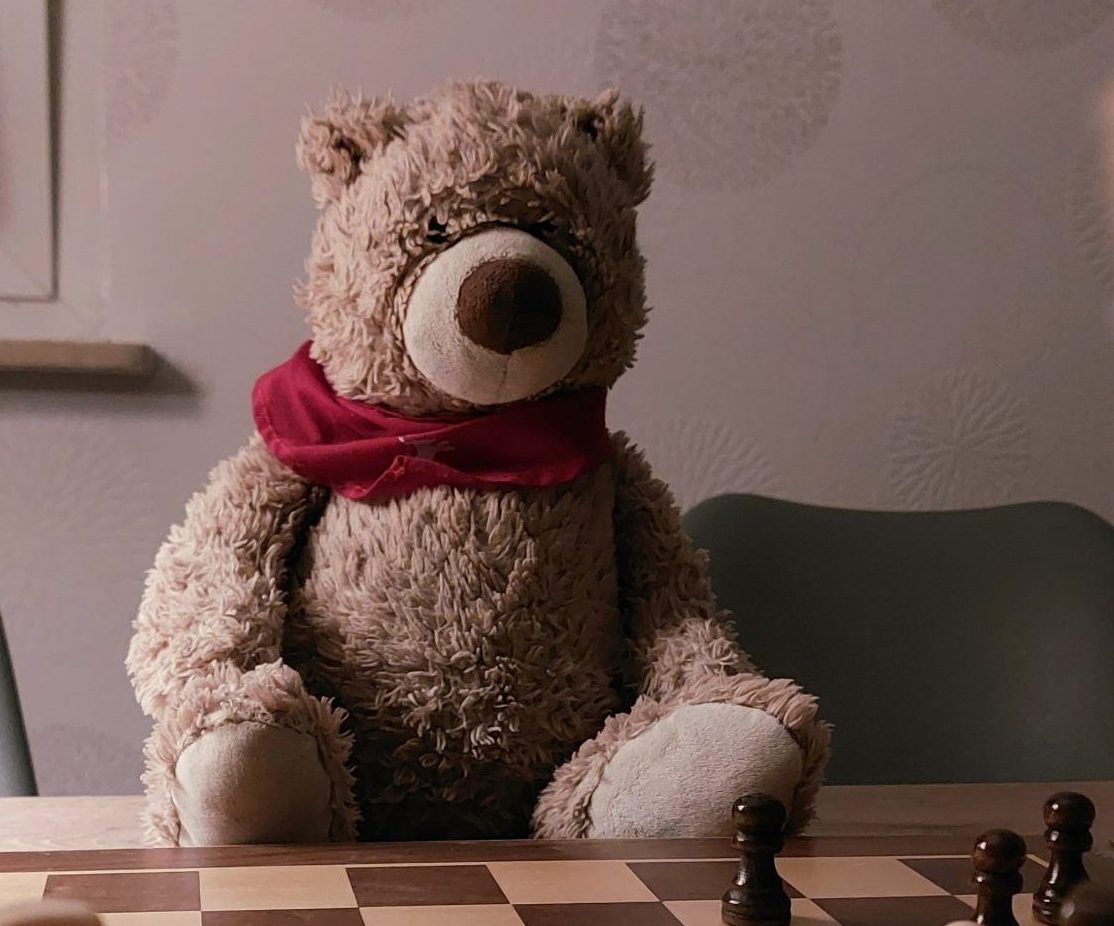 Teddy-Schachpartie (Bild: Amelie Rehm)