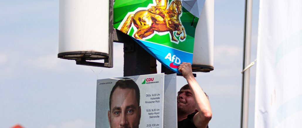 Ein Mann reißt ein AfD-Plakat von einem Mast.