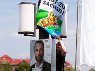 Ein Mann reißt ein AfD-Plakat von einem Mast.