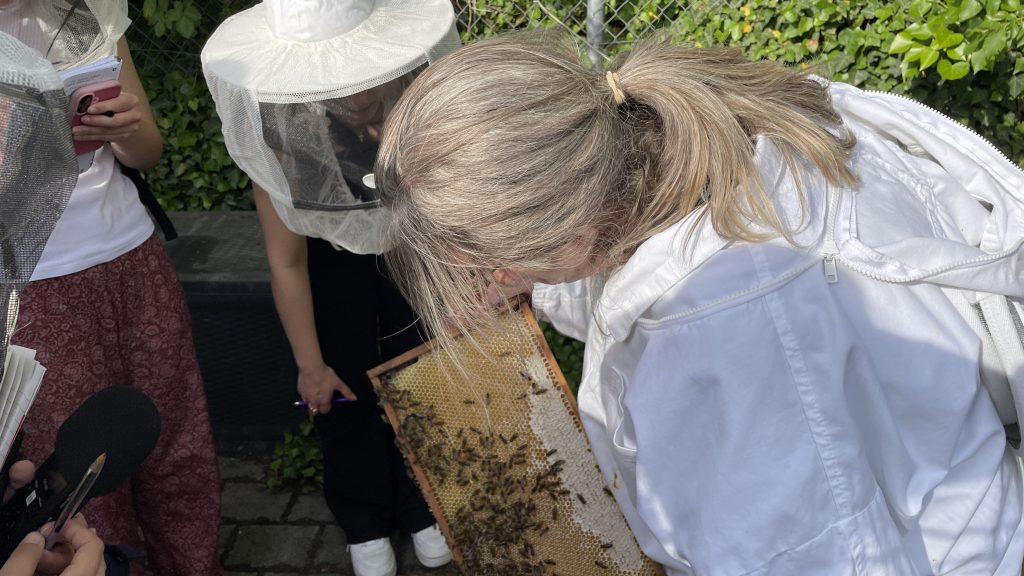 Die Leiterin der Sozialen Stadtimkerei in Mainz, Eva Böckel, zeigt den Besucherinnen und Besuchern eine Bienenwabe.