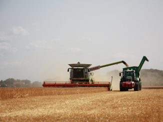 Auf dem Foto ist ein Weizenfeld zu sehen, das gerade abgeerntet wird. Zu sehen sind links ein Mähdrescher und rechts ein Traktor, die über das Feld fahren. Ihnen drohen wegen der Trockenheit Feldbrände.