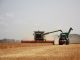 Auf dem Foto ist ein Weizenfeld zu sehen, das gerade abgeerntet wird. Zu sehen sind links ein Mähdrescher und rechts ein Traktor, die über das Feld fahren. Ihnen drohen wegen der Trockenheit Feldbrände.