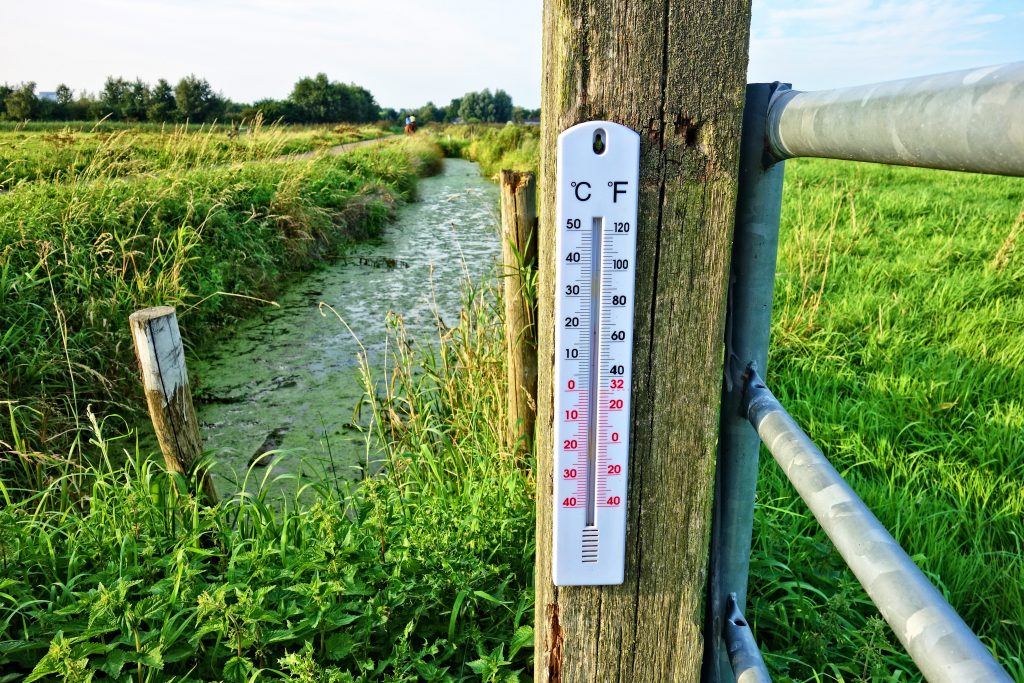 Am Rand einer Weide hängt ein Thermometer. Es hilft Landwirten, Risiken für Feldbrände frühzeitig zu erkennen